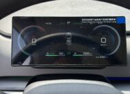 BYD SEA LION 5 2024 РОКУ