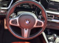 BMW Z4 G29 M40i xDrive 2019 РОКУ